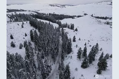 0 Lot 38 Mountain View Road, Oroville, WA 98844 - Photo 7