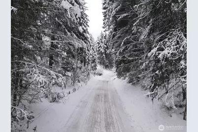 0 Lot 38 Mountain View Road, Oroville, WA 98844 - Photo 15