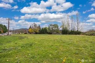 18928 Bow Hill Rd, Burlington, WA 98233 - Photo 37