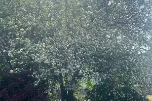 1014 5th Ave SW, Puyallup, WA 98371 - Photo 27