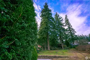 19015 16th Ave NE, Shoreline, WA 98155 - Photo 37