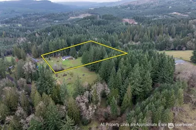 415 Bodine Road, Kelso, WA 98626 - Photo 39