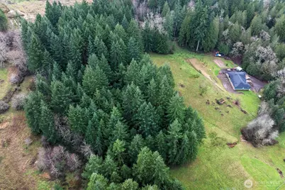 0 Bodine Road, Kelso, WA 98626 - Photo 17