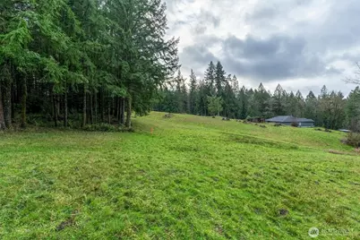 0 Bodine Road, Kelso, WA 98626 - Photo 5