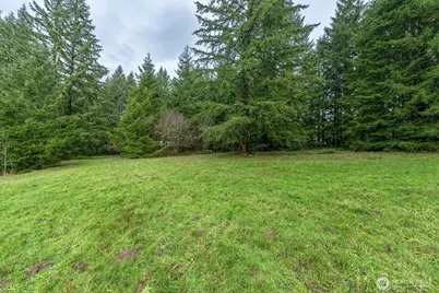 0 Bodine Road, Kelso, WA 98626 - Photo 7