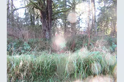 107 Dolphin Lane, Copalis Beach, WA 98535 - Photo 5