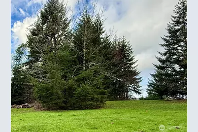 114 Skyview Road, Woodland, WA 98674 - Photo 11