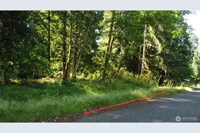 10114 Selma Circle, Anderson Island, WA 98303 - Photo 1