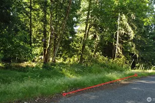 10114 Selma Cir, Anderson Island, WA 98303 - Photo 1