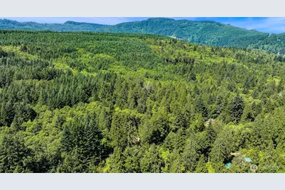 471 Summerland Rd, Bellingham, WA 98229 - Photo 15