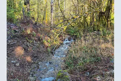 3162 Duckabush Road, Brinnon, WA 98320 - Photo 15