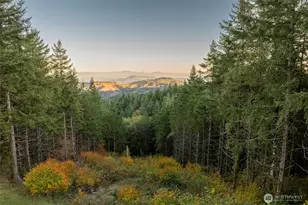 421 Woodland Heights Rd, Woodland, WA 98674 - Photo 37