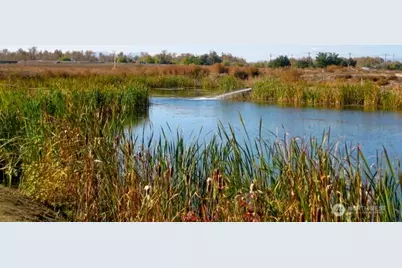 705 Kachess Lane, Zillah, WA 98953 - Photo 37