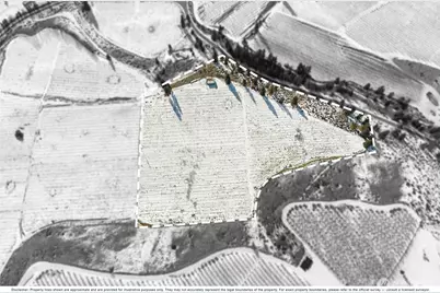 565 Boyd Loop Rd, Manson, WA 98831 - Photo 33