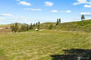 55 Swanson Gulch Rd, Manson, WA 98831 - Photo 9