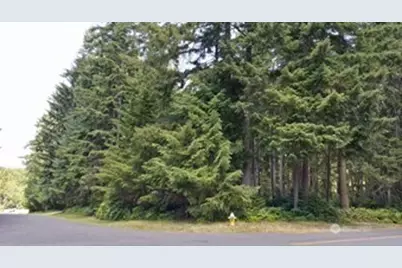 10211 Tahoma Drive, Anderson Island, WA 98303 - Photo 3