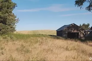 39681 Bluestem Rd E, Davenport, WA 99122 - Photo 5