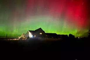 37761 L-NE Rd, Coulee City, WA 99135 - Photo 39