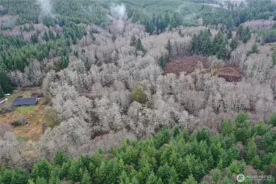 828 Wilkie Lane, Montesano, WA 98563 - Photo 5