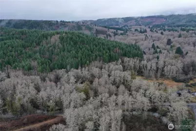 828 Wilkie Lane, Montesano, WA 98563 - Photo 3