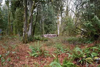 63645 NE 190th Street, Baring, WA 98224 - Photo 1