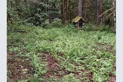 63645 NE 190th Street, Baring, WA 98224 - Photo 1