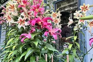 5307 State Hwy 303 NE, Bremerton, WA 98311 - Photo 19