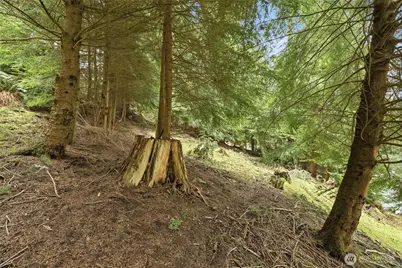 5184 Ridgeline Place, Oak Harbor, WA 98277 - Photo 15