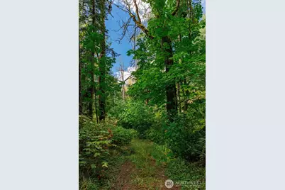 5326 Reese Hill Road, Sumas, WA 98295 - Photo 15