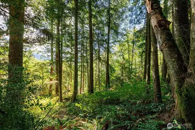 5326 Reese Hill Road, Sumas, WA 98295 - Photo 9