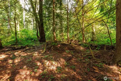 5326 Reese Hill Road, Sumas, WA 98295 - Photo 13