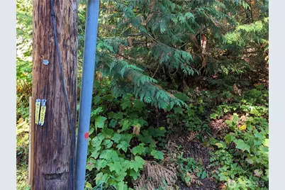 5326 Reese Hill Road, Sumas, WA 98295 - Photo 21