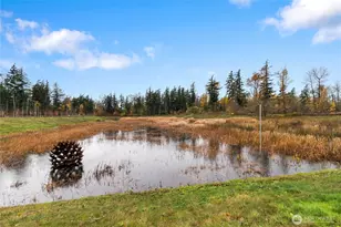 4231 Ambrosia Ln, Bellingham, WA 98226 - Photo 33