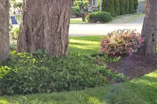 2633 SW 351st Pl, Tacoma, WA 98023 - Photo 21
