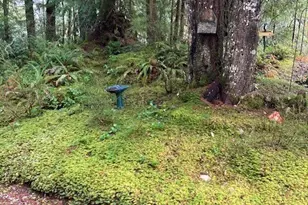 950 N Potlatch Dr, Hoodsport, WA 98548 - Photo 29