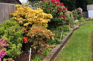 4214 NE 2nd St, Renton, WA 98059 - Photo 31