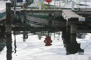 9050 Seward Park Ave S, Seattle, WA 98118 - Photo 7