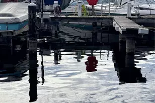 9050 Seward Park Ave S, Seattle, WA 98118 - Photo 17