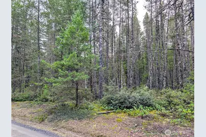 0 Tr42 NE Sides Way, Belfair, WA 98528 - Photo 3