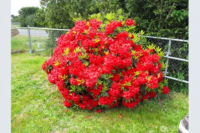 35116 I Street, Ocean Park, WA 98640 - Photo 7