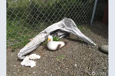 35116 I Street, Ocean Park, WA 98640 - Photo 15