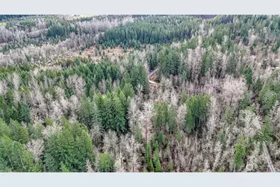 39838 Mountain Park Drive E, Roy, WA 98580 - Photo 7