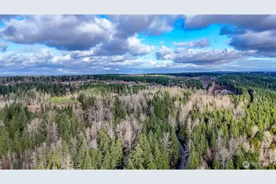 39838 Mountain Park Drive E, Roy, WA 98580 - Photo 11