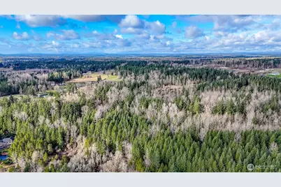 39838 Mountain Park Drive E, Roy, WA 98580 - Photo 9