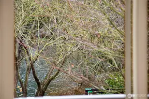 1144 N 198th St, Seattle, WA 98133 - Photo 21