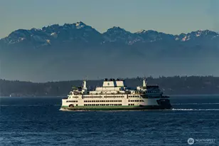 1005 Harbor Ave SW, Seattle, WA 98116 - Photo 31