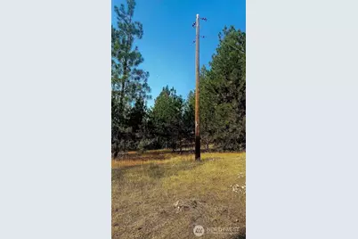 5687 Bb Corkscrew Canyon Road, Tumtum, WA 99034 - Photo 13