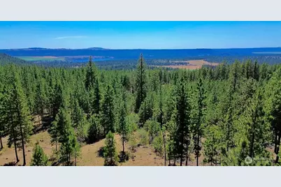 5687 Bb Corkscrew Canyon Road, Tumtum, WA 99034 - Photo 19