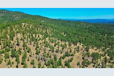 5687 Bb Corkscrew Canyon Road, Tumtum, WA 99034 - Photo 15