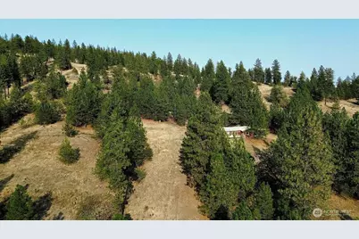 5687 Bb Corkscrew Canyon Road, Tumtum, WA 99034 - Photo 5